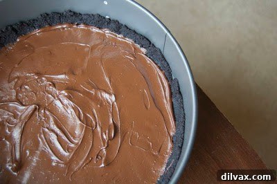 Silky No-Bake Peanut Butter Dream Pie 4 Close-up of No-Bake Creamy Peanut Butter Pie with Reese's topping and chocolate drizzle