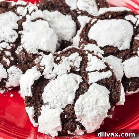 Chocolate Crinkle Cookies