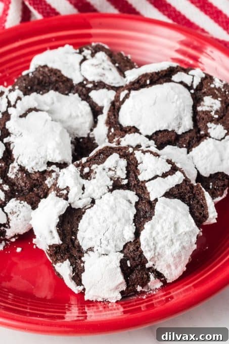 Snow-Kissed Fudge Crinkles 3 Close-up of a stack of Chocolate Crinkle Cookies showcasing their powdery, cracked surface.