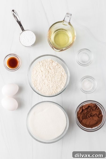 Snow-Kissed Fudge Crinkles 4 Ingredients laid out for making Chocolate Crinkle Cookies, including flour, cocoa, sugar, oil, eggs, and vanilla.
