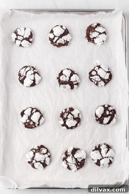 Snow-Kissed Fudge Crinkles 6 A baking tray filled with freshly baked Chocolate Crinkle Cookies, beautifully crinkled and ready to be cooled.