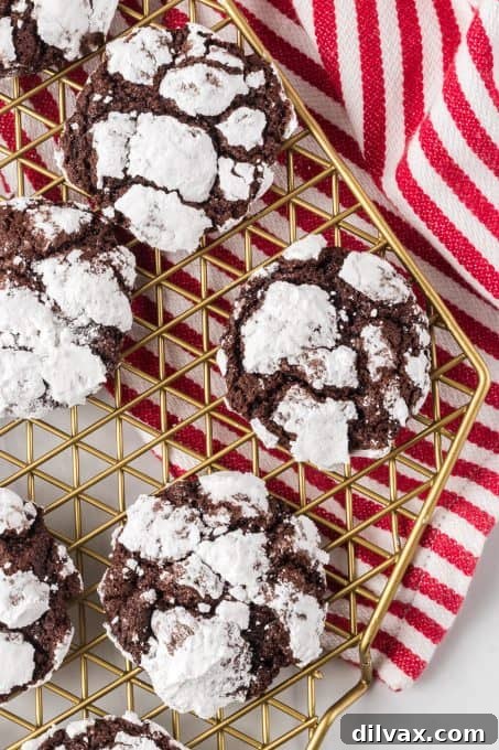 Snow-Kissed Fudge Crinkles 9 A classic Chocolate Crinkle Cookie rolled in powdered sugar, ready for baking.