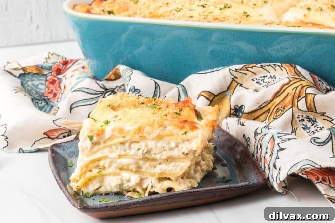 Creamy Chicken Alfredo Lasagna, perfect for family dinners.