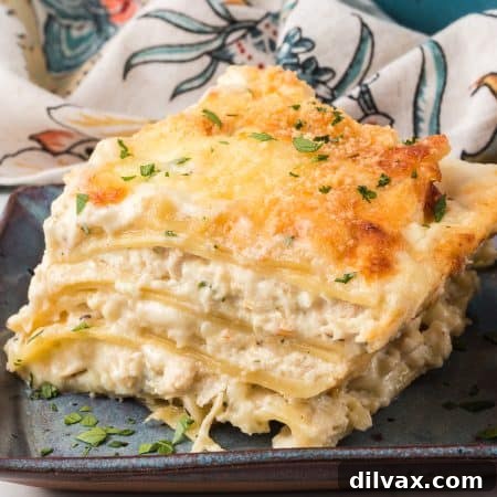 Chicken Alfredo Lasagna