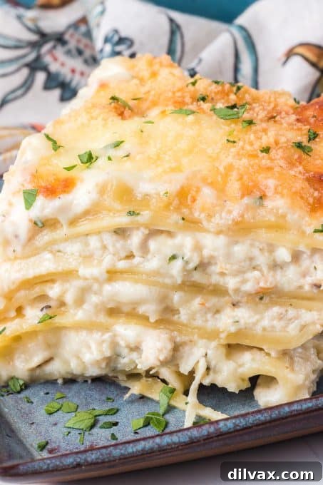Layers of Chicken Alfredo Lasagna before baking.