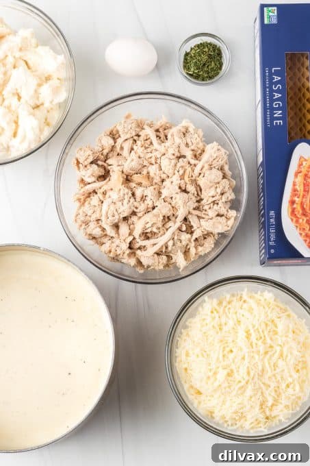 All ingredients for homemade Chicken Alfredo Lasagna on a countertop.