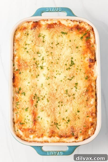 Oven-baked Chicken Alfredo Lasagna, golden and bubbly.
