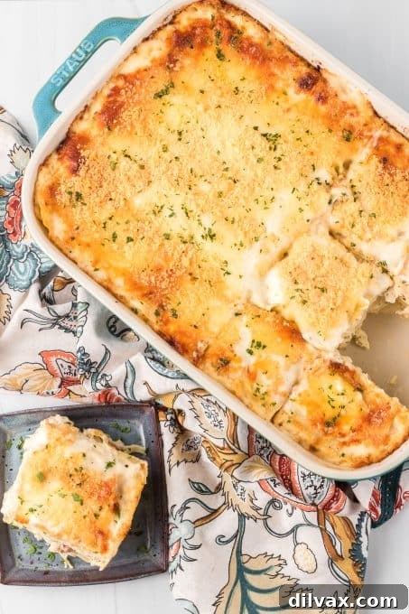 Serving a slice of homemade Alfredo Lasagna with chicken.