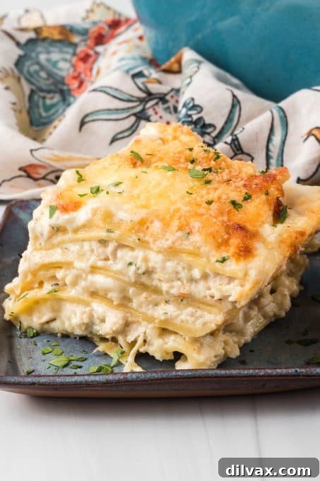 A large pan of Chicken Alfredo Lasagna, ready to be served.