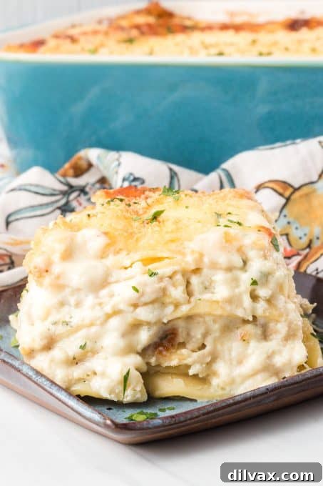 Creamy Chicken Lasagna with a homemade Alfredo sauce ready to eat.