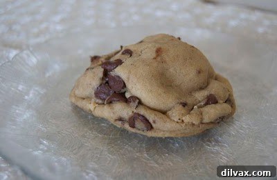 A freshly baked, generously sized Oreo Stuffed Chocolate Chip Cookie, showing its golden-brown exterior and tempting texture.