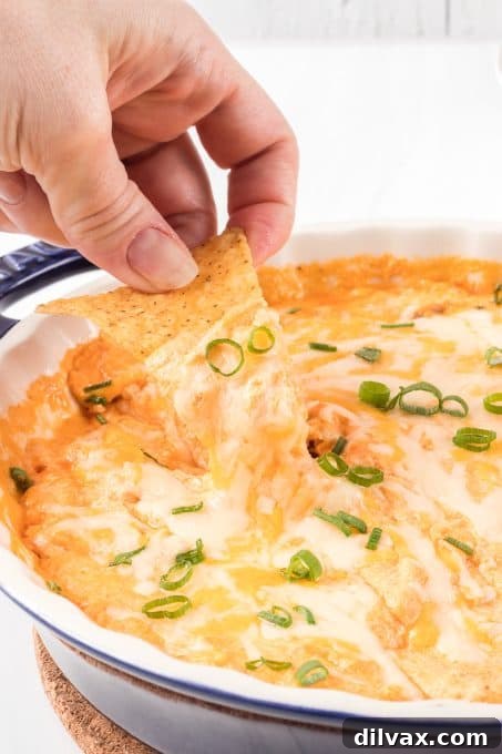 Close-up of Cottage Cheese Buffalo Chicken Dip with a chip, showing its creamy texture.