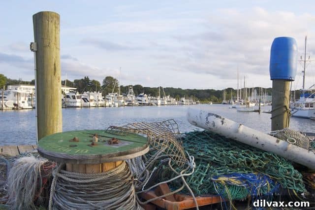 A serene waterside view with boats and historic buildings in Wickford
