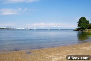 Coastal view of Wickford with boats on the water