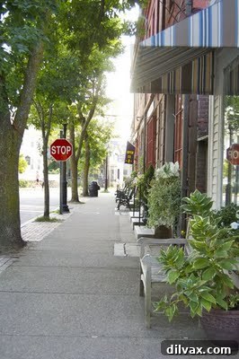 Close-up of a charming detail or landscape in Wickford