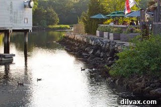 Boats docked in Wickford harbor