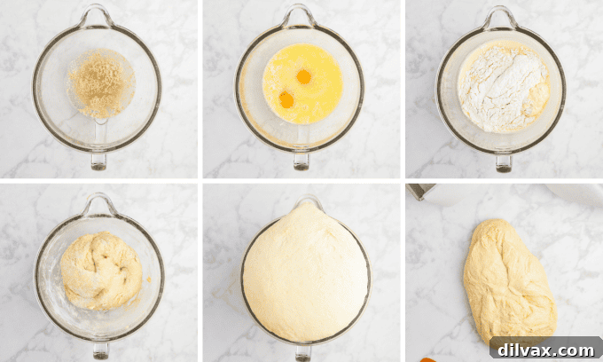 Warm and Fluffy Potato Bread 5 Process photos showing the mixing and blooming of yeast, making a dough and the rising process in a bowl.