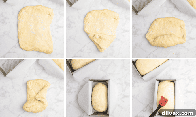 Warm and Fluffy Potato Bread 6 A collage of photos displaying the way to roll up bread dough and placing it into loaf pans for baking.