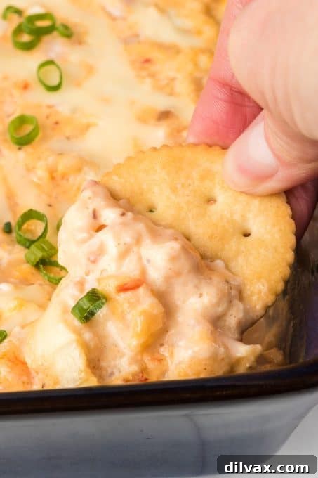 Creamy Shrimp Delight 3 Easy Shrimp Dip Recipe