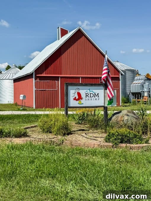 Creamy Shrimp Delight 4 RDM Shrimp Farm