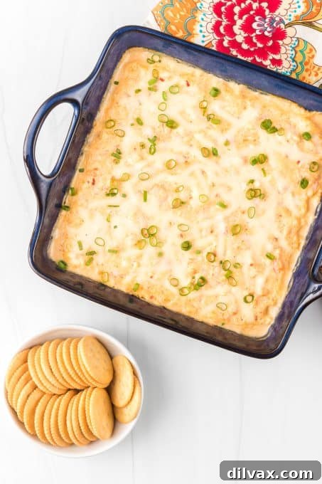 Creamy Shrimp Delight 8 A cheese and creamy appetizer dip with shrimp.