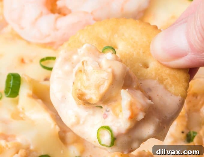 Creamy Shrimp Delight 9 Easy Shrimp Dip Recipe