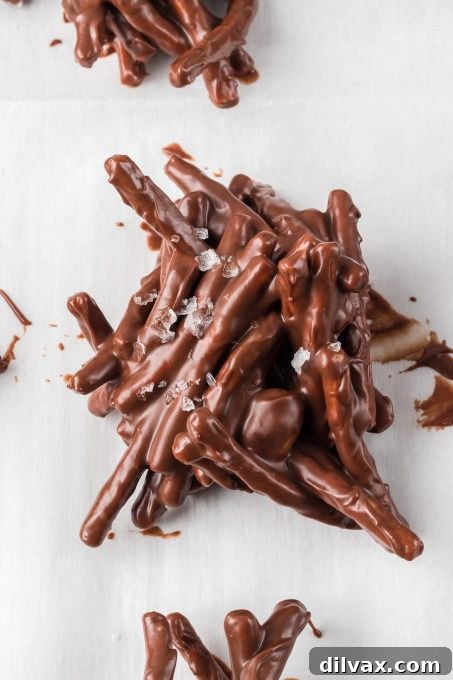 Golden Sentinels 3 Close-up of a stack of perfect Haystack Cookies, highlighting the textures of the chow mein noodles and the rich chocolate-peanut butter coating.
