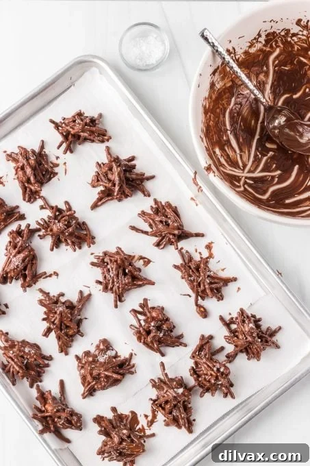 Golden Sentinels 6 A close-up shot of the mixture for chocolate peanut butter chow mein cookies being prepared, highlighting the noodles and nuts.