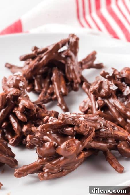 Golden Stacks 7 Close-up of no-bake chocolate peanut butter cookies made with chow mein noodles and peanuts, beautifully arranged.