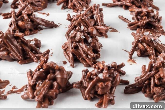 Golden Sentinels 8 A wide shot of a platter of no-bake chow mein noodle cookies, ready to be served.