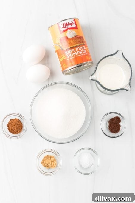 Spiced Pumpkin Squares 4 Arrangement of ingredients for making the creamy pumpkin pie filling.