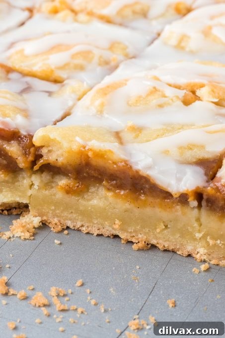 Spiced Pumpkin Squares 10 A collection of pumpkin bars, showcasing their delightful texture and ease of preparation.