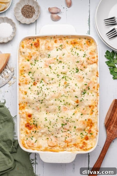 Oceanic Lasagna 7 A cross-section view of Seafood Lasagna, showing distinct layers of pasta, creamy bechamel, and ample shrimp and crab.