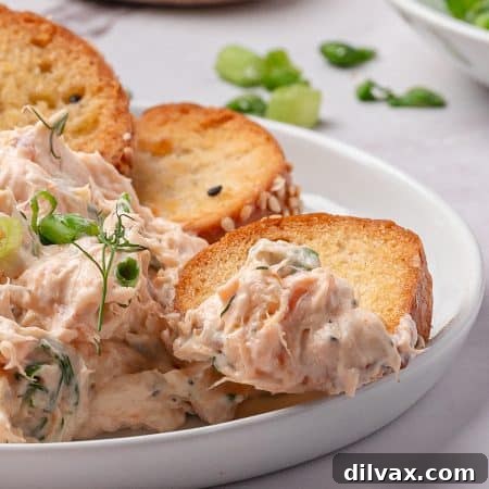 A scoop of a dip made with smoked salmon.