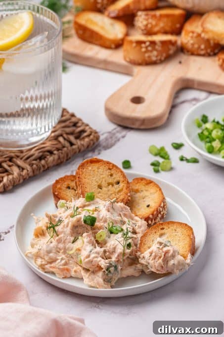 Salmon dip with homemade toasted bagel chips.