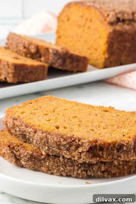 Deliciously Spiced Pumpkin Bread 9 A slice of moist pumpkin quick bread with a crunchy sugar topping.