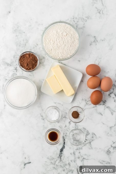 All the fresh ingredients laid out for making the chocolate pizzelle recipe, including eggs, flour, cocoa, and butter.
