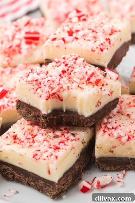 Decadent Peppermint Bark Fudge 11 A large block of Peppermint Bark Fudge, showing its layers before being cut.