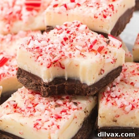 Peppermint Bark Fudge