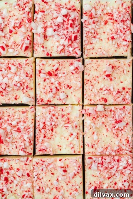 Decadent Peppermint Bark Fudge 3 Close-up of layered Peppermint Bark Fudge with crushed candy canes, ready to be cut.