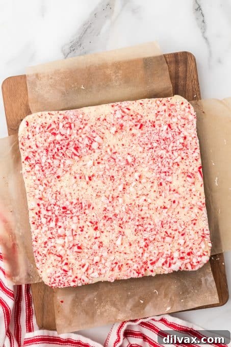 Decadent Peppermint Bark Fudge 7 A beautiful holiday fudge topped generously with crushed candy canes, ready to serve.