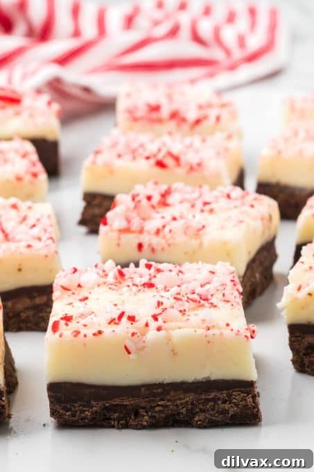 Decadent Peppermint Bark Fudge 8 Close-up of crushed candy canes on the white chocolate layer of the fudge.