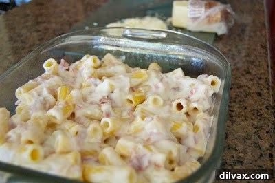 Creamy Baked Rigatoni with Bechamel 4 Assembled rigatoni pasta in a baking dish, topped with cheese and butter, ready for the oven.