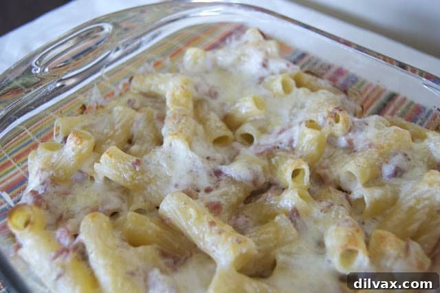 Creamy Baked Rigatoni with Bechamel 5 A close-up shot of the finished Baked Rigatoni, golden brown and bubbling, ready to be served.