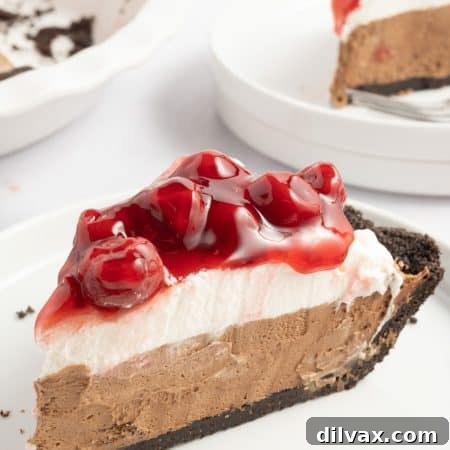 Decadent Cherry Chocolate Torte 11 Chocolate Cherry Pie aka Black Forest Pie