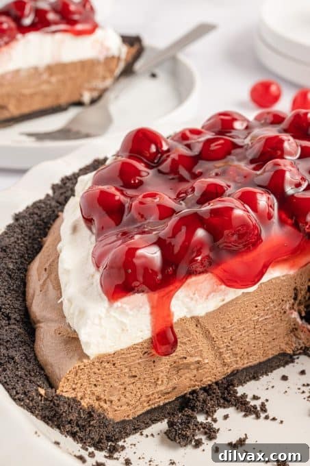 Decadent Cherry Chocolate Torte 3 Close-up shot of a slice of Chocolate Cherry Pie