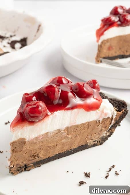 Decadent Cherry Chocolate Torte 9 Delicious Chocolate Cherry Pie, also known as Black Forest Pie, ready to serve.