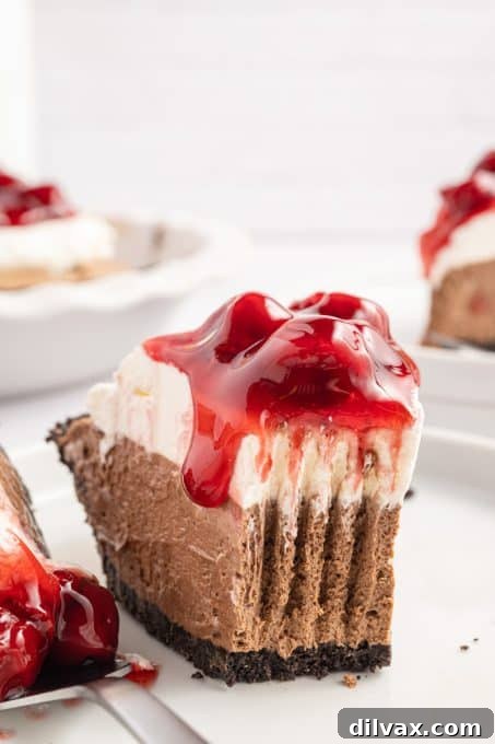 Decadent Cherry Chocolate Torte 10 A delectable bite of a Black Forest Pie.