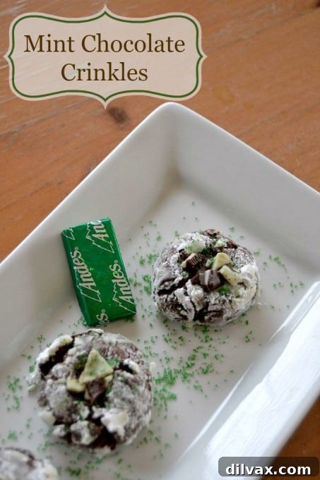 That wonderful Chocolate Crinkle Cookie filled with Andes mints!