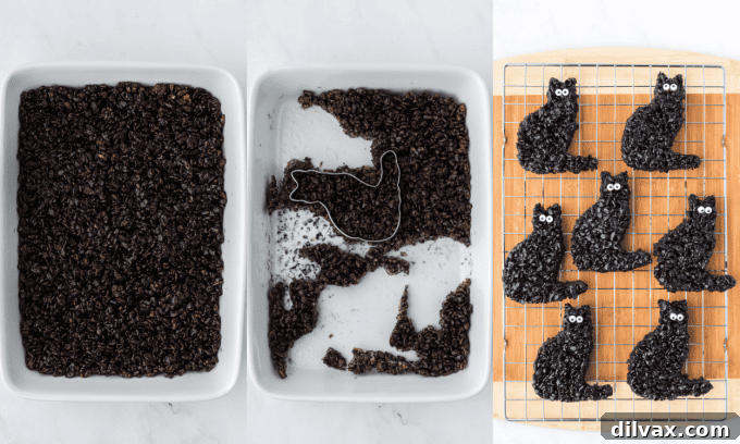 Second set of process photos for Halloween Black Cats.